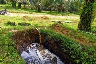 Nama Bakteri Pengurai Limbah Cair Kelapa Sawit Di Sidotopo Riset