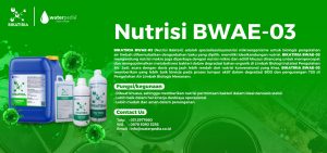 Jual Bakteri Bikatiria Pengurai Limbah Domestik Aerob Anaerob IPAL STP WWTP Waterpedia
