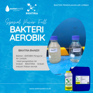 Otlet hasil olahan air limbah dengan Bakteri Aerobik Bikatiria